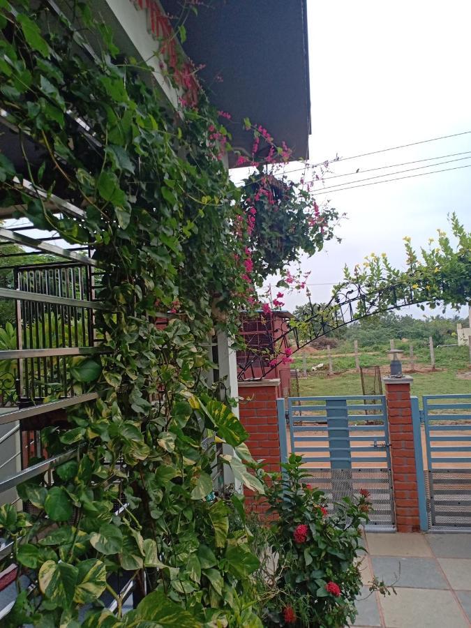 Mango Tree Homestay Hampi Eksteriør bilde